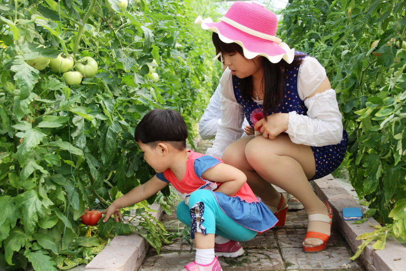 月月有鲜果、全城可采摘济南全市鲜果采摘直接收入达44亿元